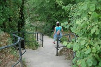  The stairs down from the Loreley.