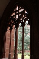  Looking into the garden of the cloister.