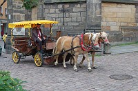  One way to take a city tour.