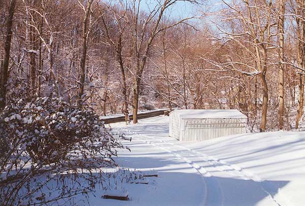 My driveway in the winter